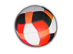Ballon de volleyball
